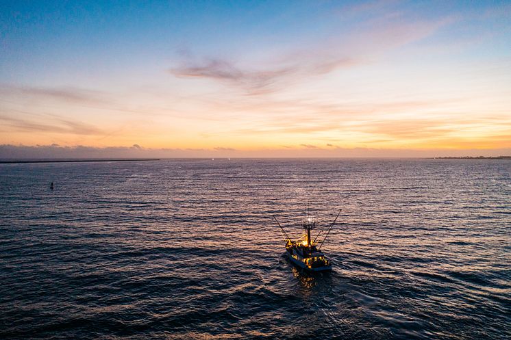 RS17531_Albacore Tuna Fishing Boat at sunset (1)