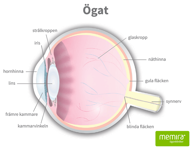 Ögat_Memira_print