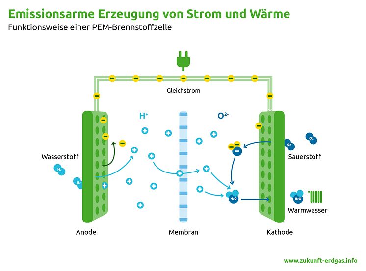 Funktionsweise der PEM-Brennstoffzelle