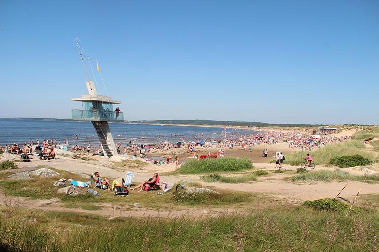 Tylösand strand