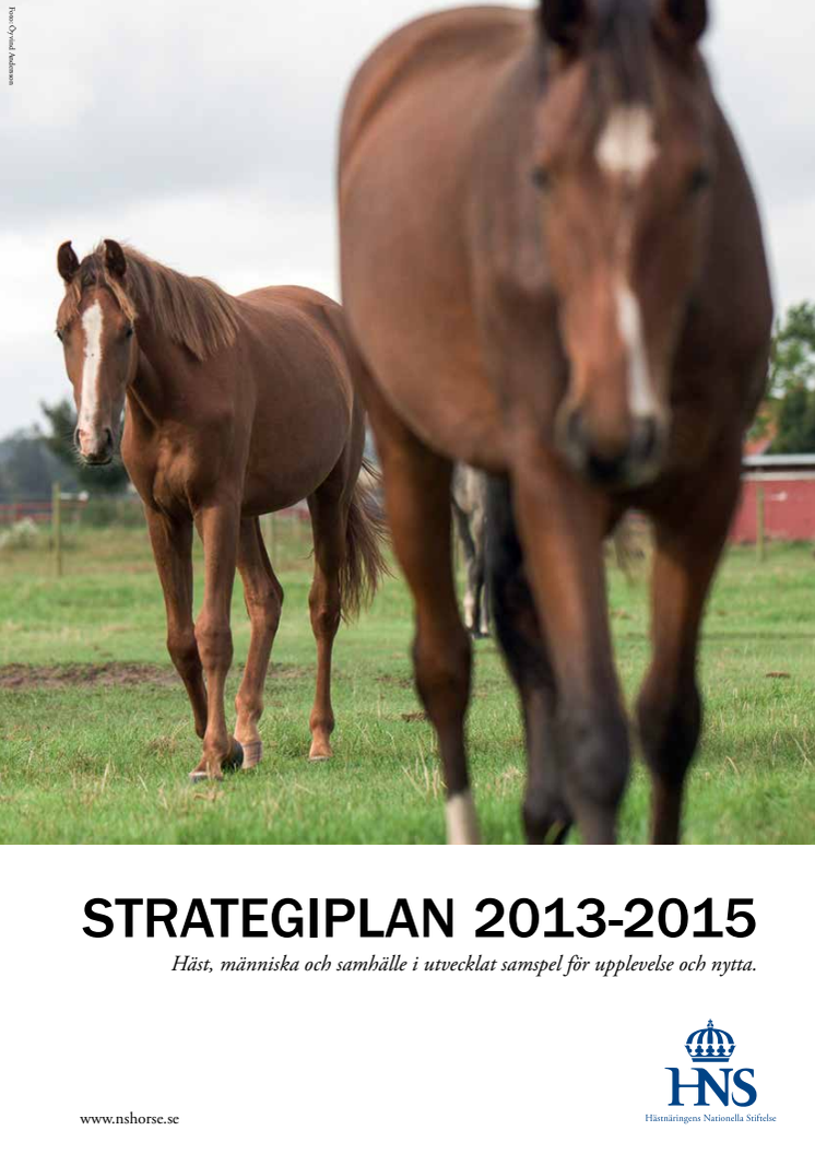 HNS strategiplan 2013-2015