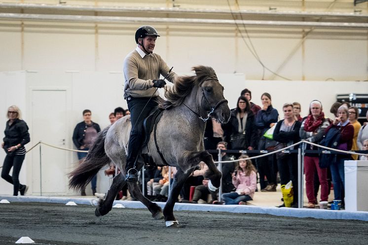 Clinic at Elmia Icelandic Power Show 2017 with Magnus Skulason and Valsa från Brösarpsgården.