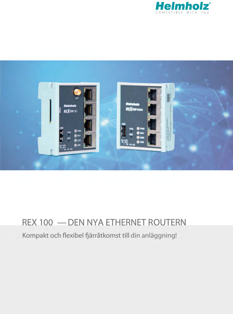 REX 100 