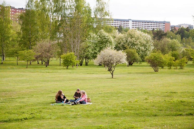Järva DiscGolfPark