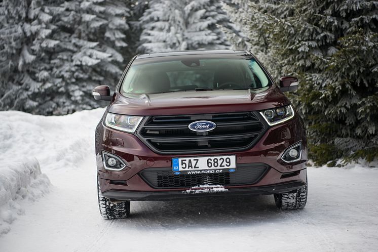 Ford Edge (29)