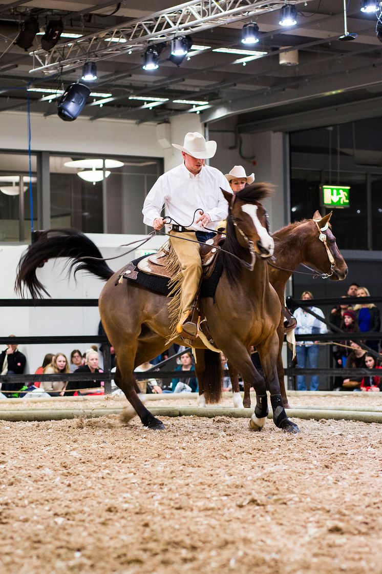 Western på EuroHorse 2014