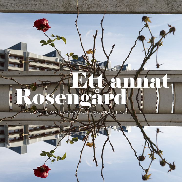 Ett annat Rosengård av Jeanette Rosengren och Urszula Striner