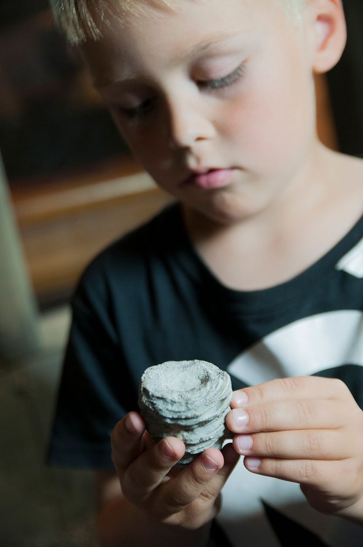 Geologins dag - barn undersöker fossil