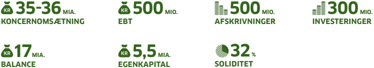 Finansielle hovedmål for Danish Agro koncernen for 2020