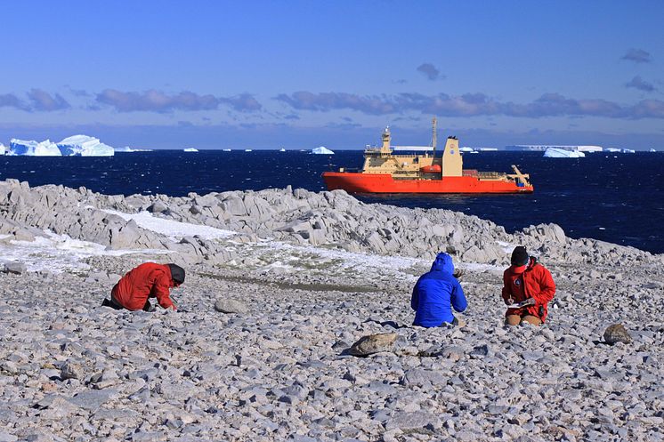 Sample collection in Antarctica