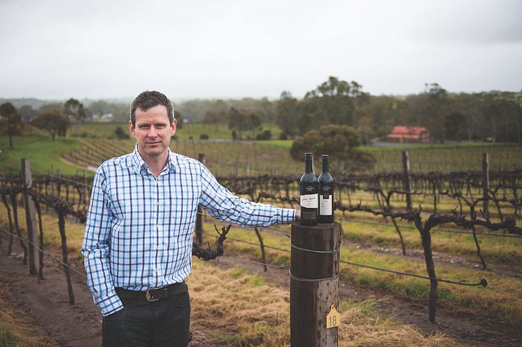 Sjefsvinmaker Steve Meyer i vinmarken