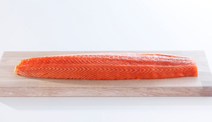 NSC_Salmon_04