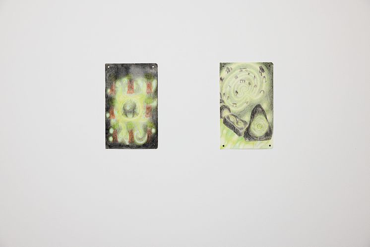 Torkild Helland Kleppe, Capture the Forest I, 2022