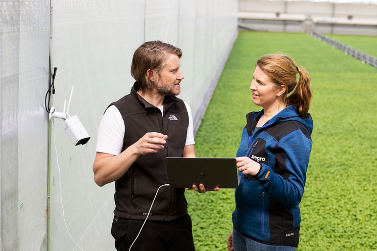 Erik Fredlund, AI-konsult Codon Consulting och Lisa Lindström, odlingschef Svegro installerar framtidens odling.