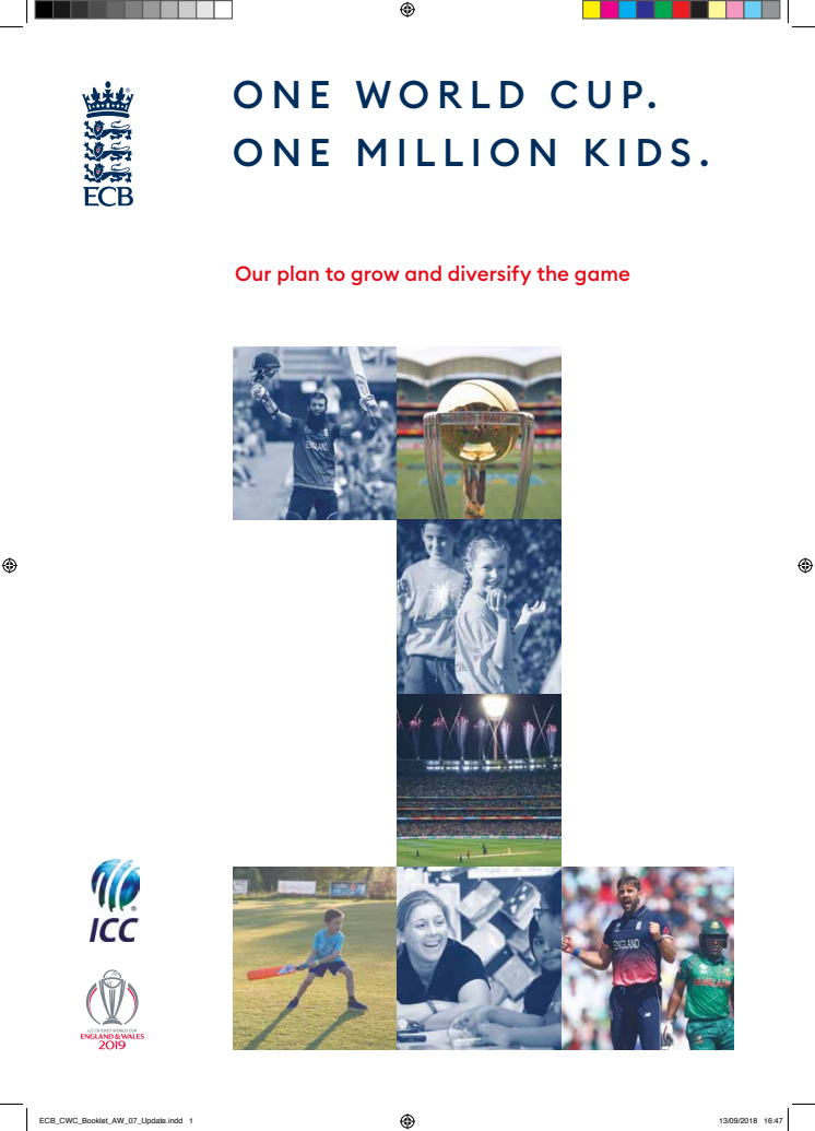 ECB ICC Cricket World Cup Participation Strategy document
