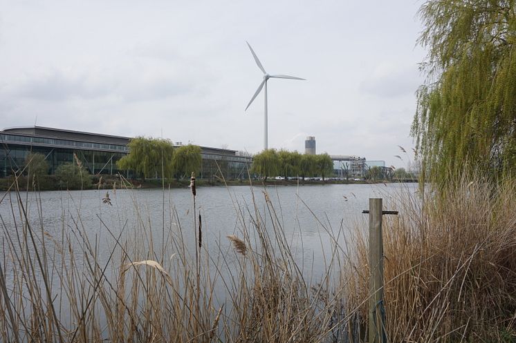 Naturreservat ved Fords fabrik i Dagenham 