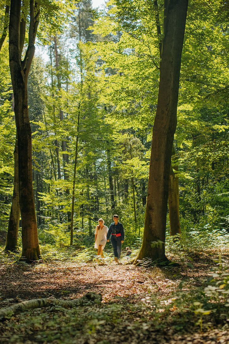 Wandlitz_Paar_spaziert_im_Wald_