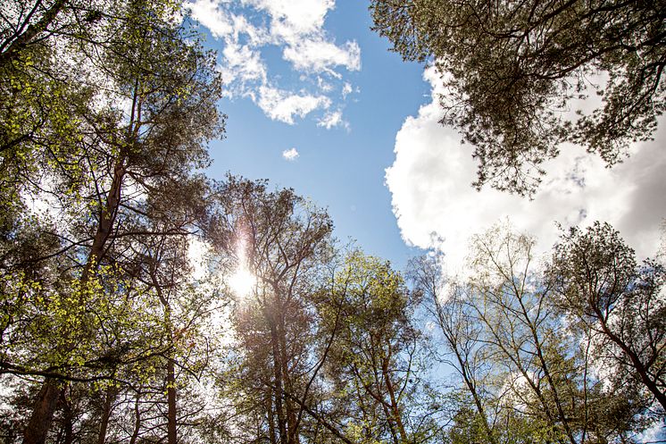 Med tanke på klimatet