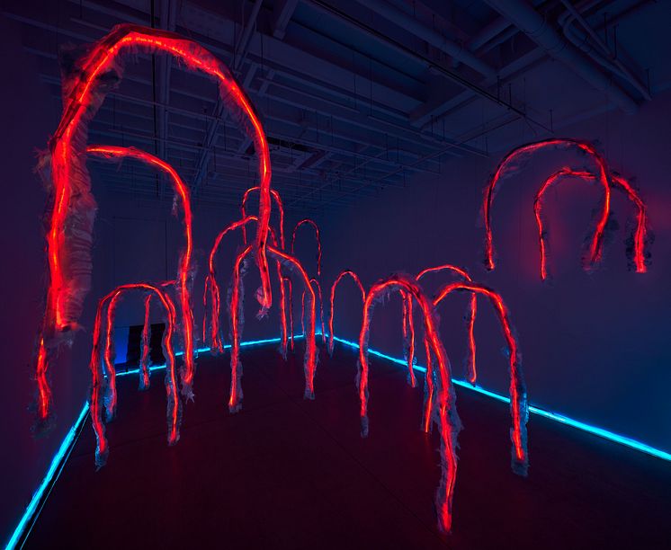 Tiril Hasselknippe, Hyperstate (2024).