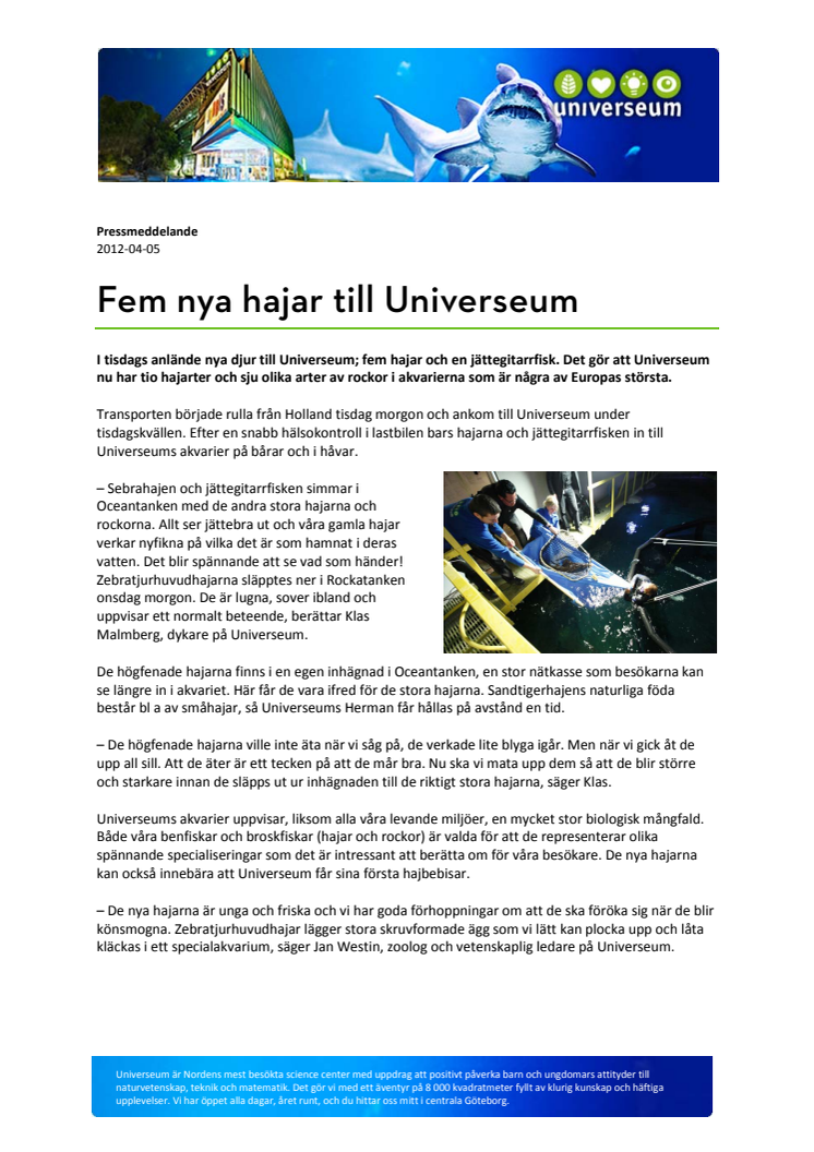 Fem nya hajar till Universeum