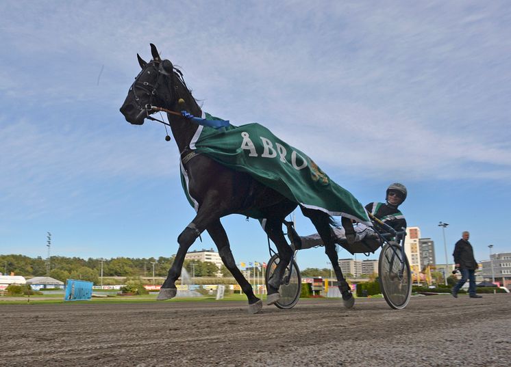 On Track Piraten