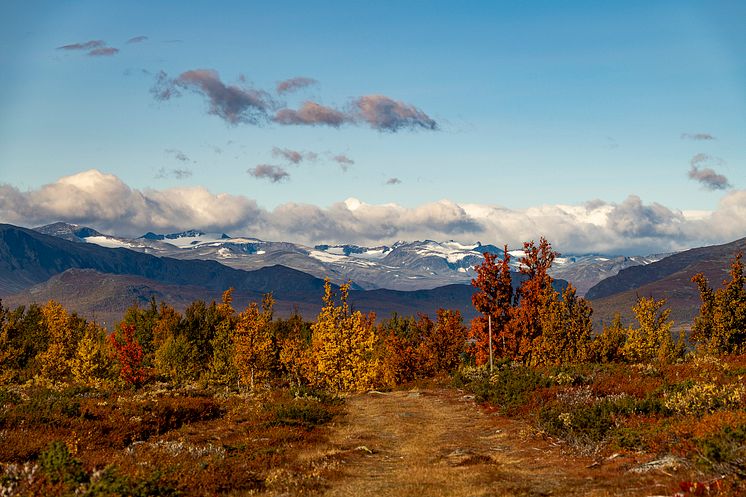 From Skaabu Fjellhotell - Photo - Skaabu Fjellhotell (2).jpg