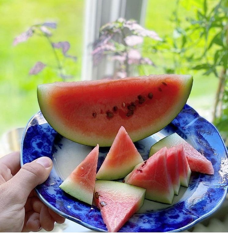 Vattenmelon 6.jpg