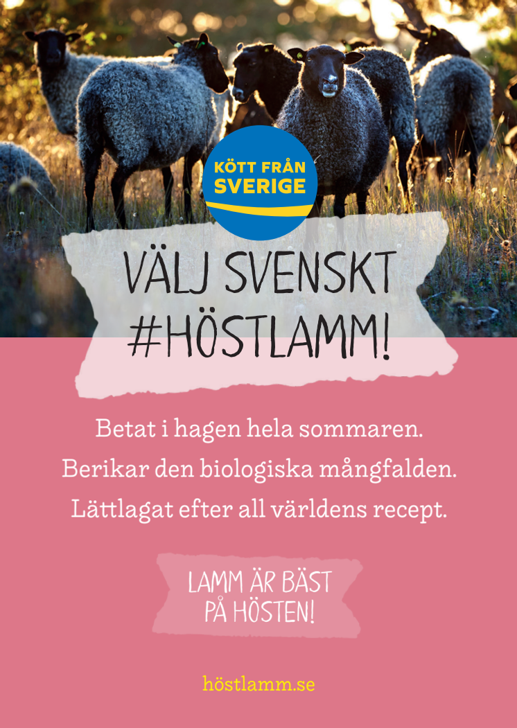 Kampanj #Höstlamm 2019, tre original för butik utan skärmärken