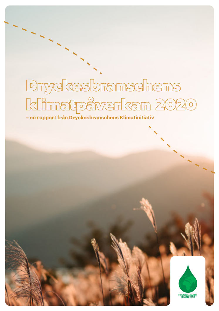 DKI-rapport 2020_svenska .pdf