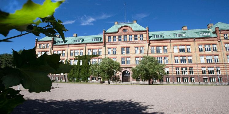 Vecka_27_Brynasskolan_Headerbild.jpeg