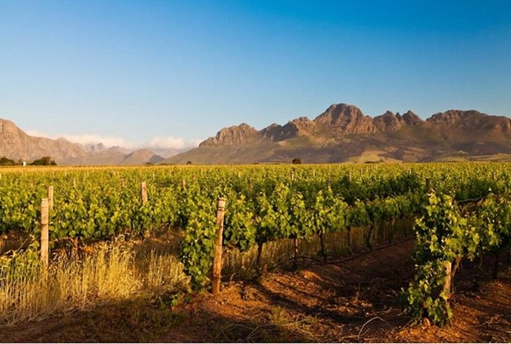 Stellenbosch, Sør Afrika