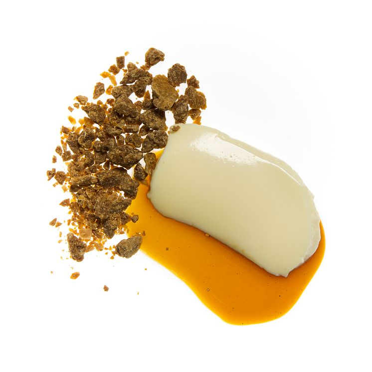 garlic pannacotta - Jouni Toivanen - fotograf: Emmanuel Nguyen