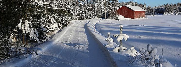 vinter_landsbygd_sno (1).jpg