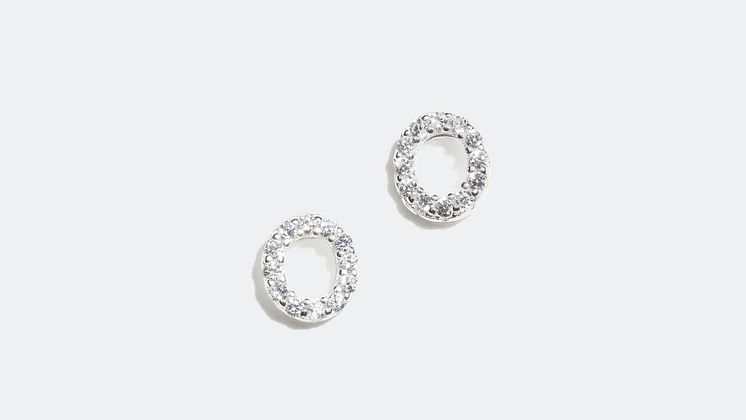 Earrings - 139 kr