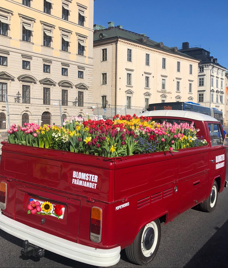 Blomsterfrämjandets Flower truck sprider blomsterglädje