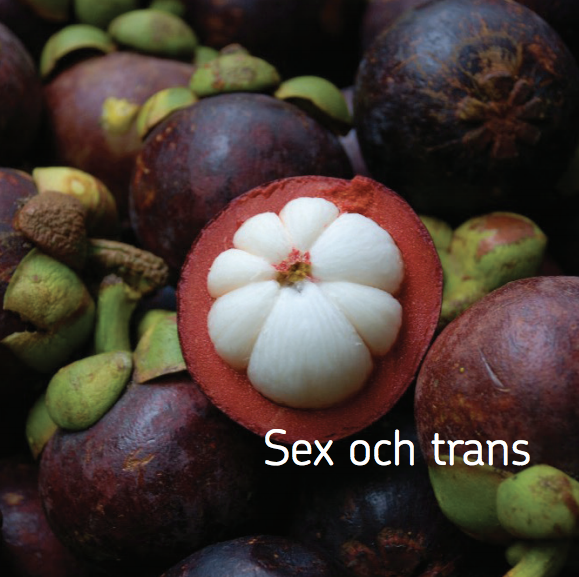 Sex och trans
