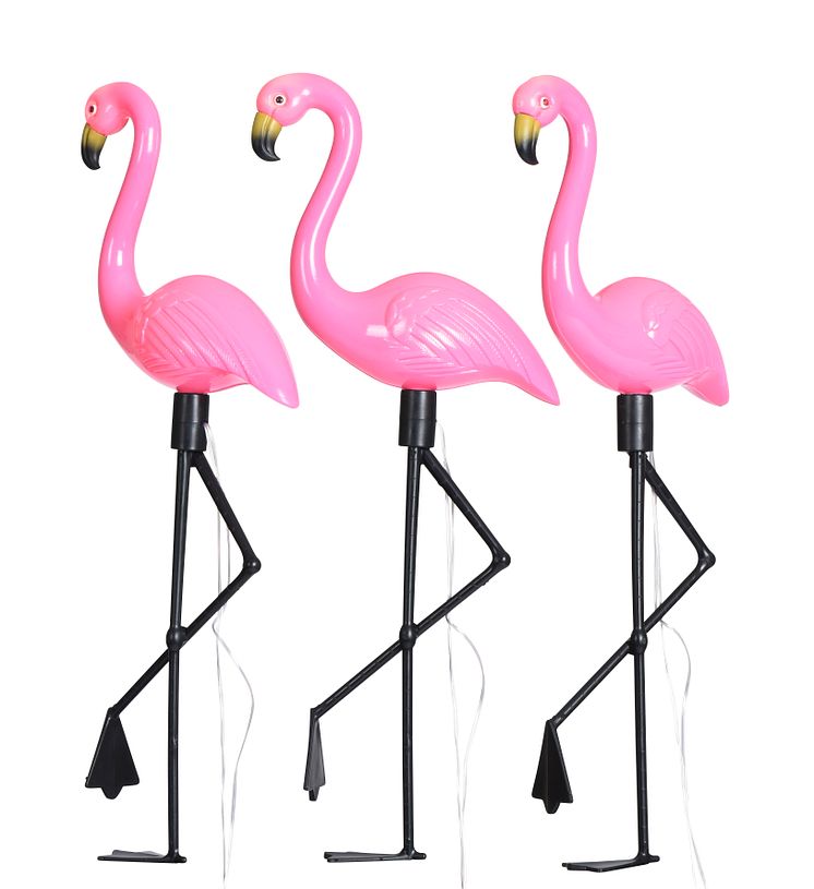 Solcelleslynge_Flamingos