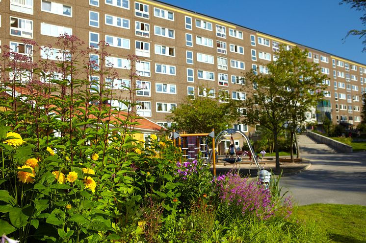 Hammarkullen0013_