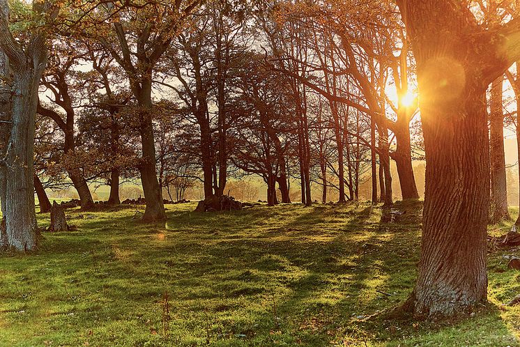 Slöinges natur, Halland