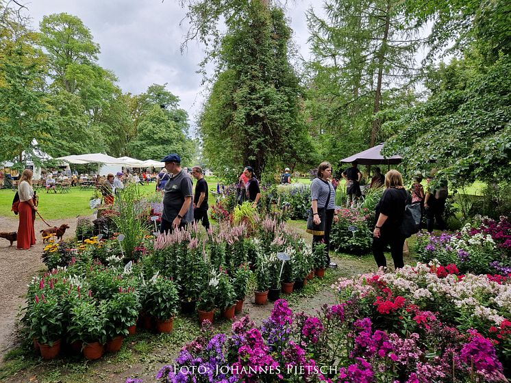 ROMANTIC GARDEN auf Rittergut Remeringhausen.JPG