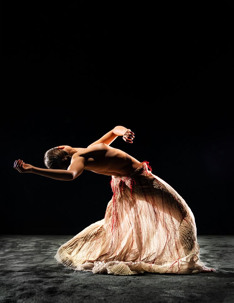 Black Box Dance Company.jpg