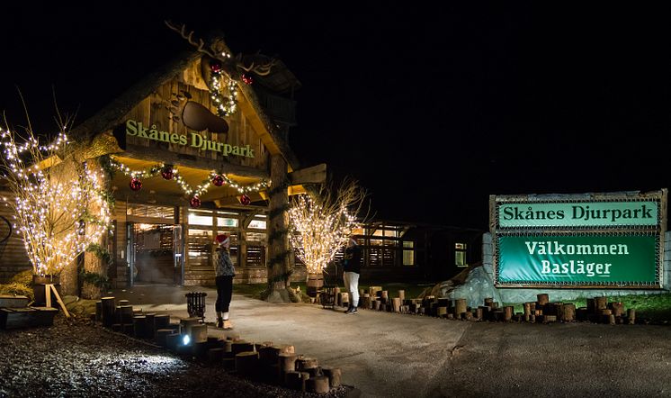 Entrén till Skånes Djurpark under Jul i Djurparken 