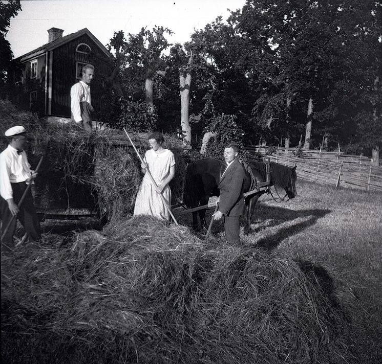 Stensjö by