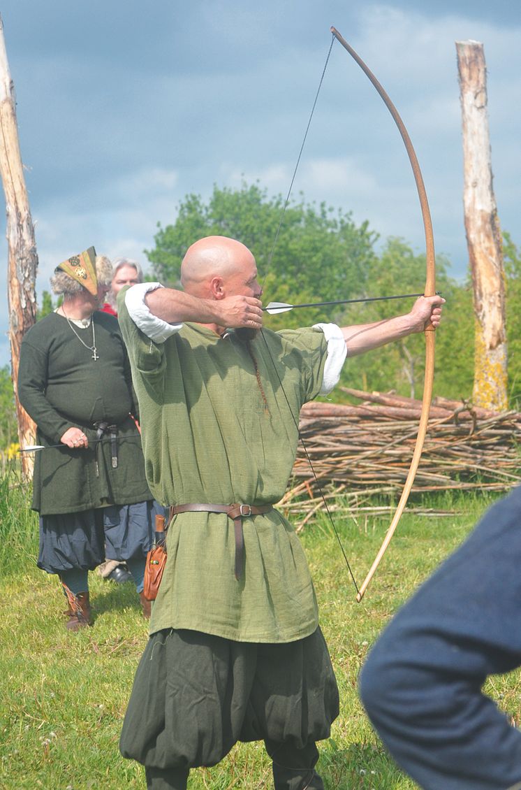 Vikingafejd Pilbåge