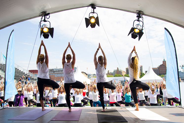 Internationella yogadagen i Sverige 2015 bild 5
