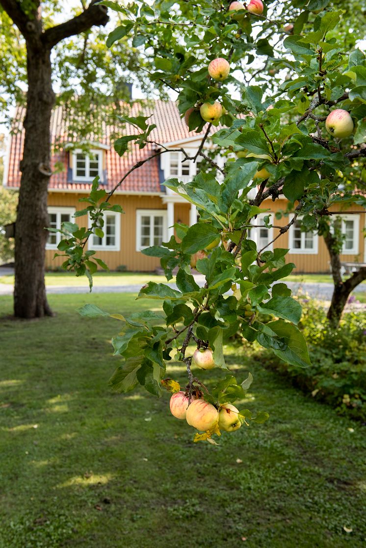 Ortala huvudbyggnad exteriör äpple