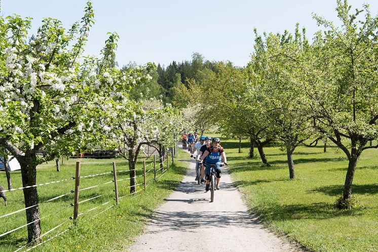 UTEHELG på Värmdö