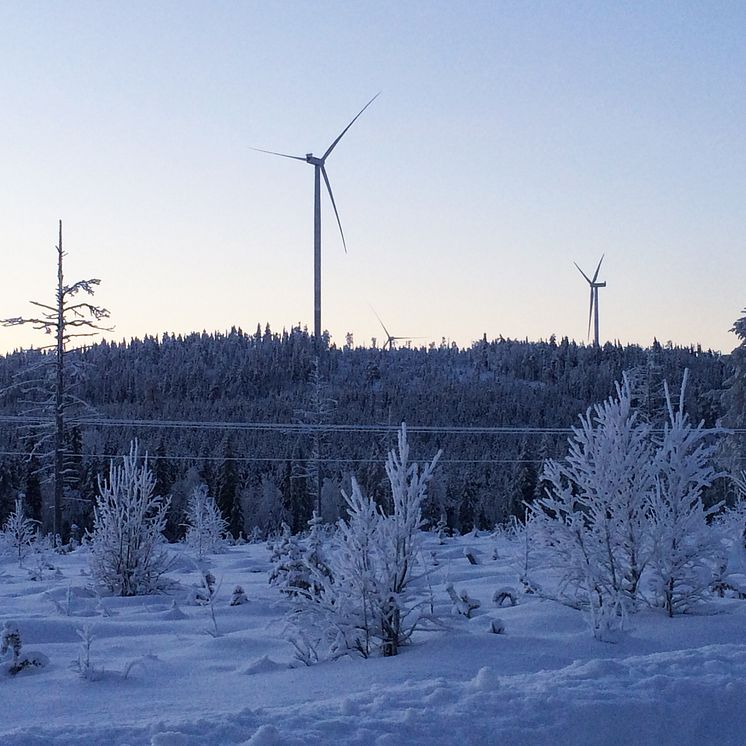 Vindkraft Lapplands Elnät