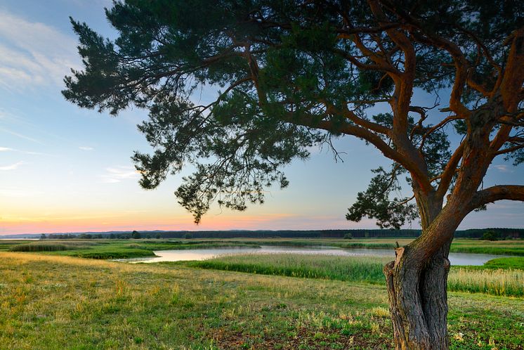 Schwedt_Oder_Schwedt_Nationalpark_Unteres_Odertal
