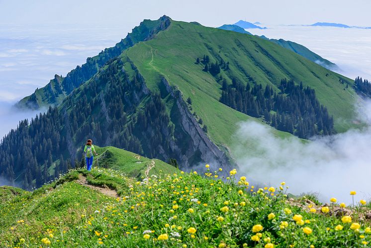 Oberallallgäu